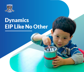 Dynamics EIP Like No Other